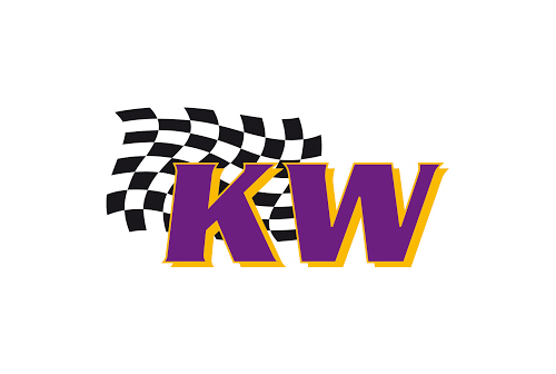 KW Automotive Lowering Springs
